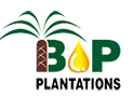 Bewani Oil Palm Plantations Limited (BOPPL)